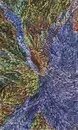 Jeannie Pitjara, Yam Leaf, 2006, Acrylic on linen, 90 x 150 cm