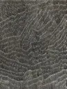 Lily Kelly Napangardi, Tali, 2008, Acrylic on linen, 90 x 120 cm