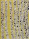 Pantjiya Nungurrayi, Women Dreaming, 2007, Acrylic on linen, 90 x 120 cm