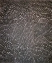 Lily Kelly Napangardi, Tali Dreaming - Sandhills 02, 2008, synthetic polymer paint on canvas, 149 x 124 cm