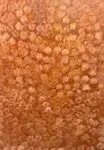 Emily Kame Kngwarreye, SIZE??? ?But assume it is 90 x 120 cm