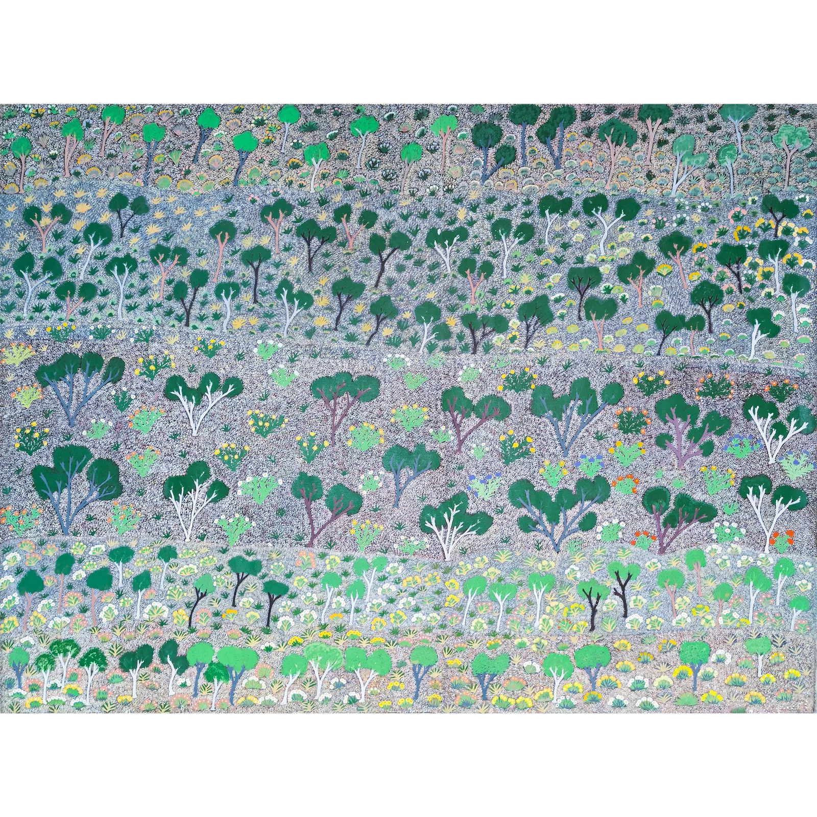 Lily Morton Kemarre, Ghost gums and bloodwood trees, 2006, synthetic polymer paint on Belgian linen, 137 x 181 cm