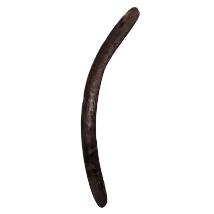 Artist Once Known, Boomerang, 67 cm