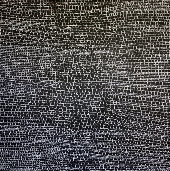 Dorothy Robinson Napangardi, Mina Mina, 2007, synthetic polymer paint on Belgian linen, 120 x 120 cm