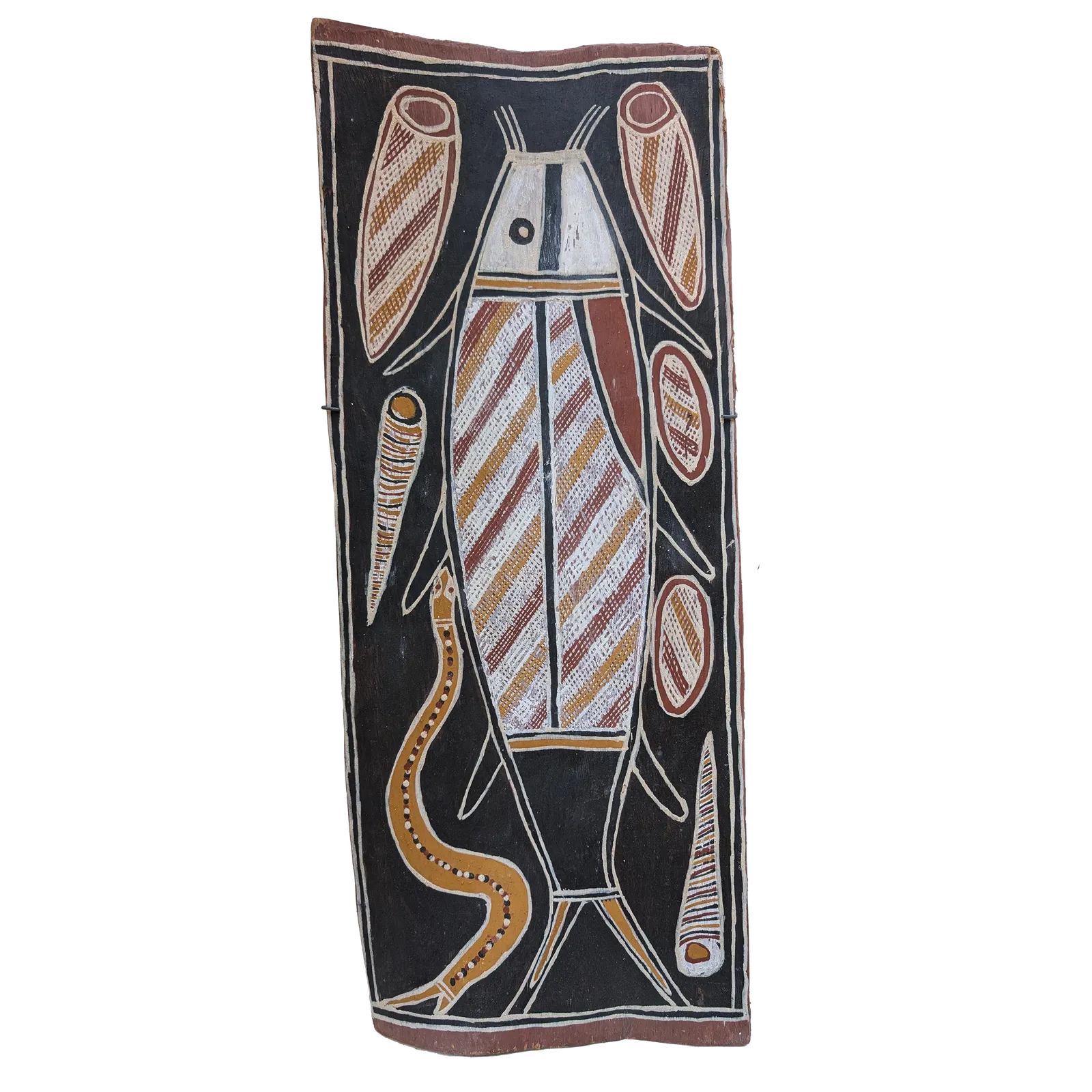David Malangi Daymirringu, Catfish, c.1978, natural earth pigments on bark, 59 x 23cm