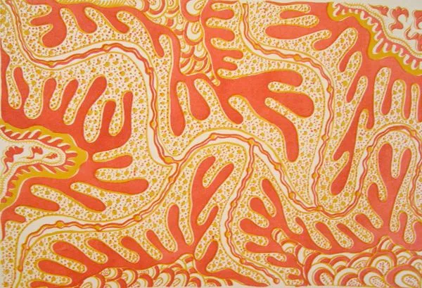 Nyuwara Tapaya, Waru - Fire, 1993, limited edition screenprint on paper, 59 x 59 cm