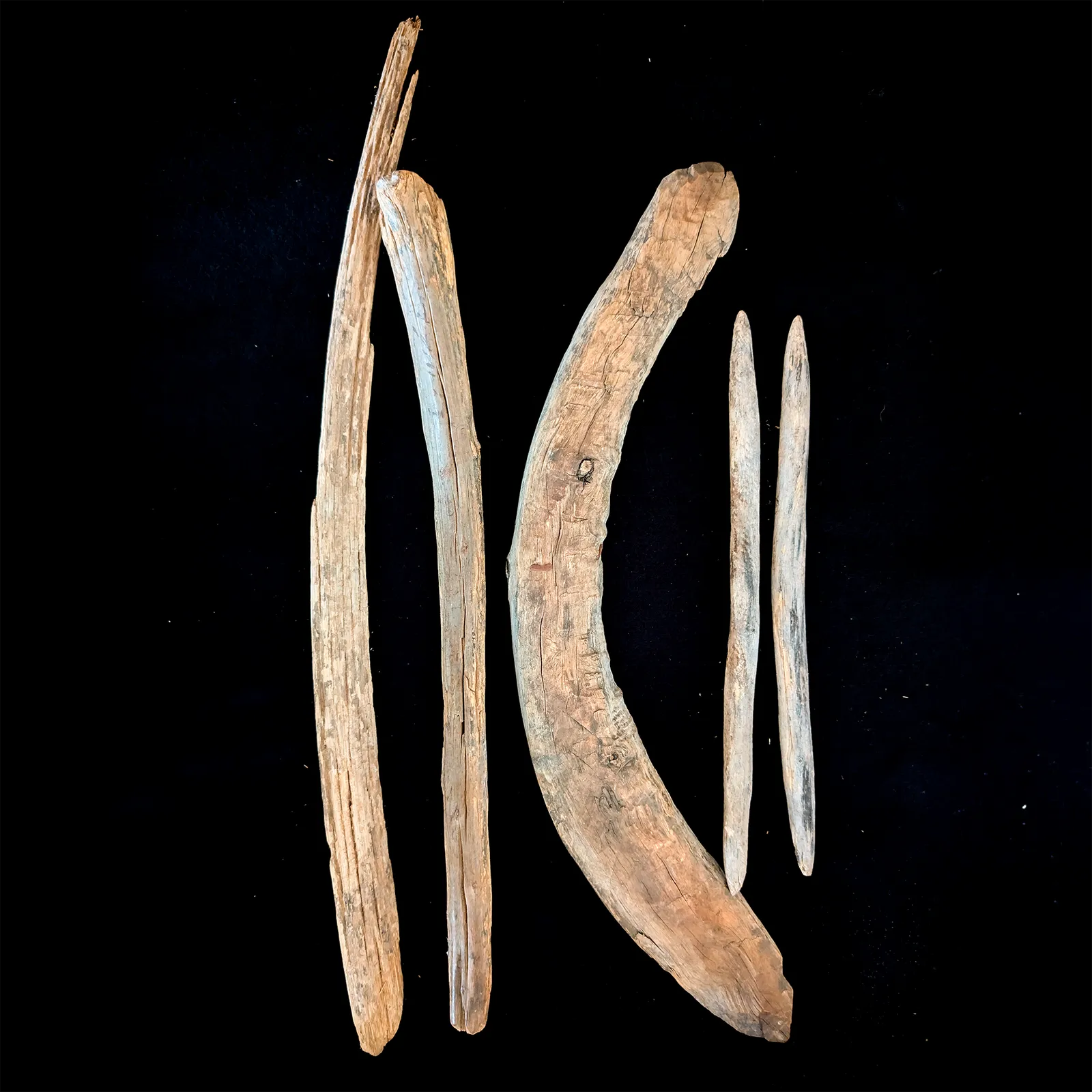 Artist Once Known, Set of Hunting Implements 19th Century, 19th century