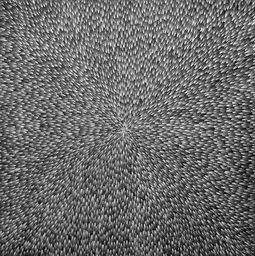 Abie Loy Kemarre, Bush Leaf Dreaming, 2008, synthetic polymer paint on Belgian linen, 76 x 76 cm