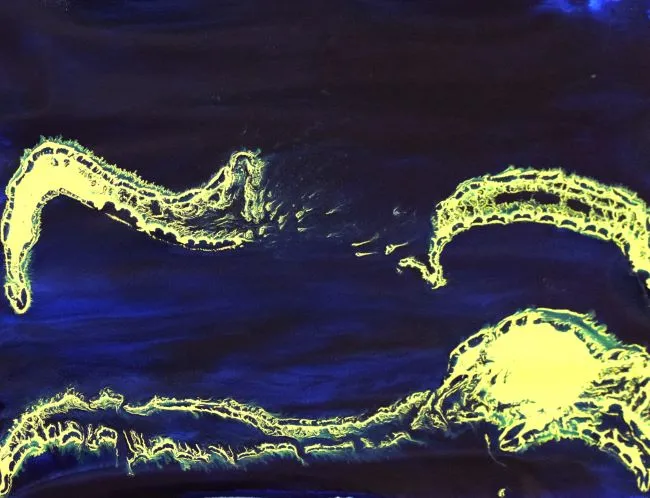 Samantha Hobson, Flying over the Reef, 2007, synthetic polymer paint on canvas, 82x 104.5cm