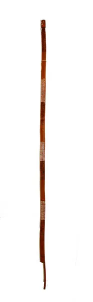 Jimmy Djarrbbarali, Mimi, 2007, natural earth pigments on wood, 162cm