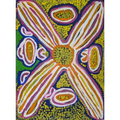 Lorna Naparrula Fencer, Bush Potato, 1998, synthetic polymer paint on canvas, 127.5 x 94 cm