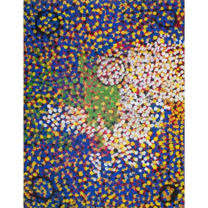 Lorna Naparrula Fencer, Caterpillar, 1998, synthetic polymer paint on canvas, 134 x 101 cm