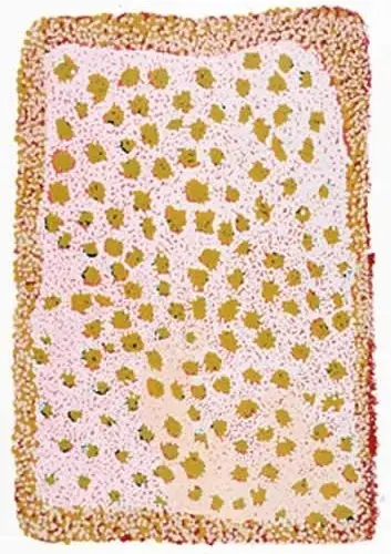 Elizabeth Nyumi Nungurrayi, Kantil Kantil, 2003, screenprint